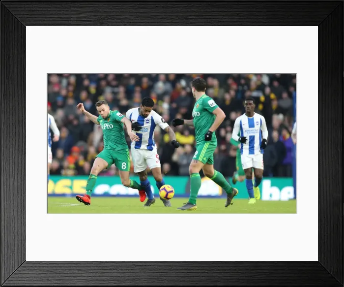 Framed Print : Brighton and Hove Albion vs. Watford: Premier League Showdown at American Express Community Stadium (02FEB19) Framed Print : Brighton and Hove Albion vs. Watford: Premier League Showdown at American Express Community Stadium (02FEB19)