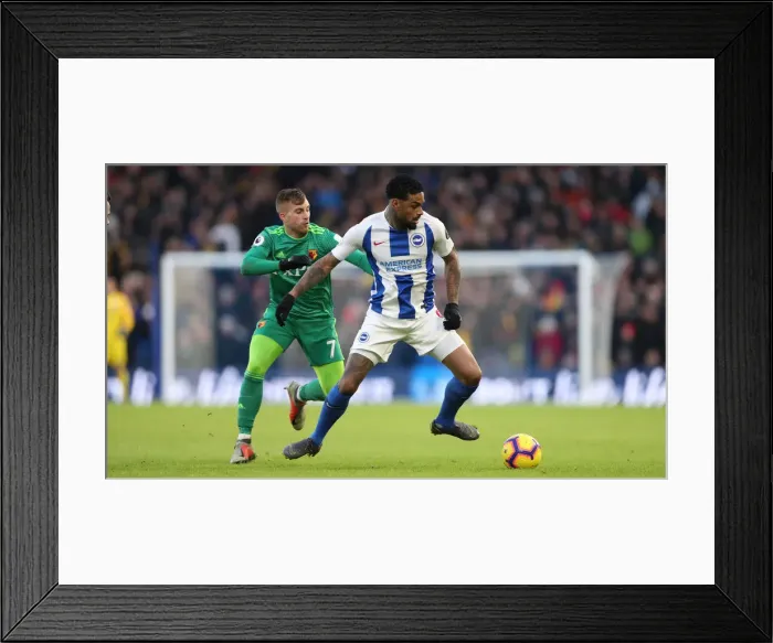 Framed Print : Brighton and Hove Albion vs. Watford: Premier League Showdown at American Express Community Stadium (02FEB19) Framed Print : Brighton and Hove Albion vs. Watford: Premier League Showdown at American Express Community Stadium (02FEB19)