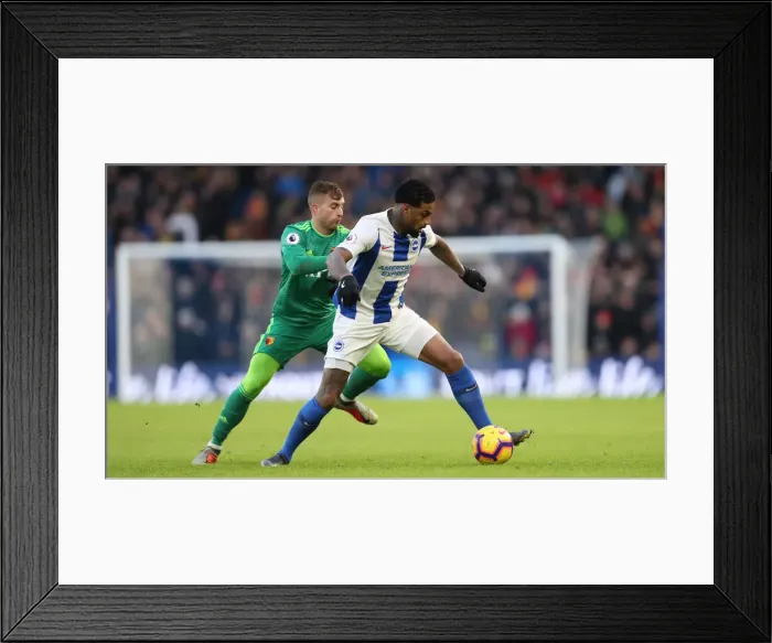 Framed Print : Brighton and Hove Albion vs. Watford: Premier League Showdown at American Express Community Stadium (02FEB19) Framed Print : Brighton and Hove Albion vs. Watford: Premier League Showdown at American Express Community Stadium (02FEB19)