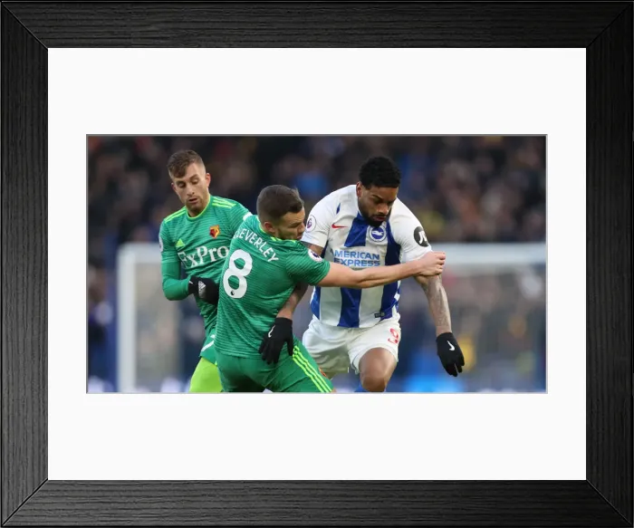 Framed Print : Brighton and Hove Albion vs. Watford: Premier League Showdown at American Express Community Stadium (02FEB19) Framed Print : Brighton and Hove Albion vs. Watford: Premier League Showdown at American Express Community Stadium (02FEB19)