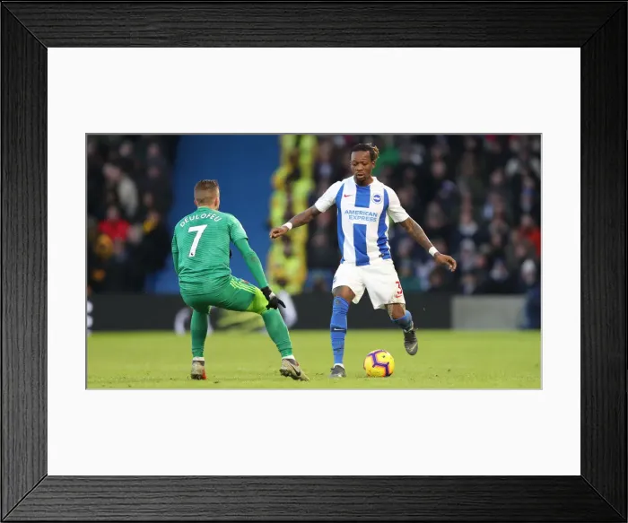 Framed Print : Brighton and Hove Albion vs. Watford: Premier League Showdown at American Express Community Stadium (February 2, 2019) Framed Print : Brighton and Hove Albion vs. Watford: Premier League Showdown at American Express Community Stadium (February 2, 2019)