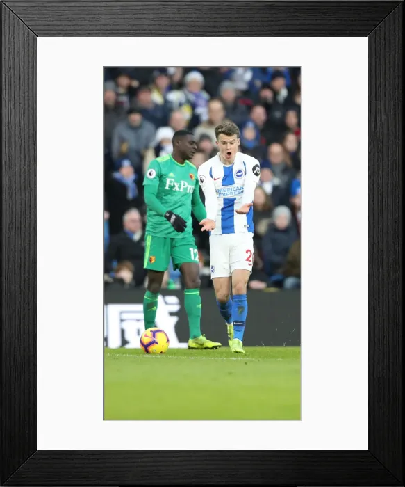 Framed Print : Brighton and Hove Albion vs. Watford: Premier League Showdown at American Express Community Stadium (02FEB19) Framed Print : Brighton and Hove Albion vs. Watford: Premier League Showdown at American Express Community Stadium (02FEB19)