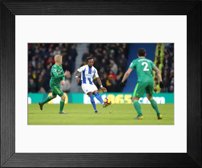 Framed Print : Brighton and Hove Albion vs. Watford: Premier League Showdown at American Express Community Stadium (02FEB19) Framed Print : Brighton and Hove Albion vs. Watford: Premier League Showdown at American Express Community Stadium (02FEB19)