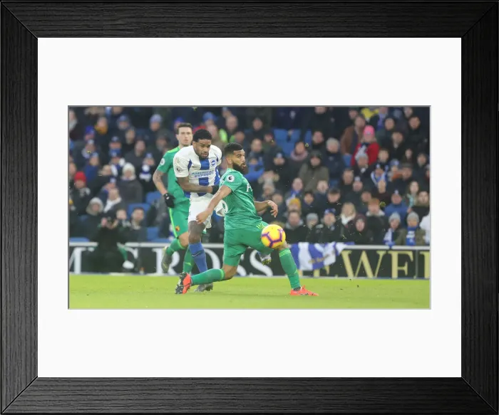 Framed Print : Brighton and Hove Albion vs. Watford: Premier League Showdown at American Express Community Stadium (02FEB19) Framed Print : Brighton and Hove Albion vs. Watford: Premier League Showdown at American Express Community Stadium (02FEB19)