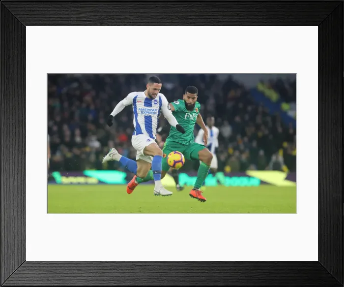 Framed Print : Brighton and Hove Albion vs. Watford: Premier League Showdown at American Express Community Stadium (02FEB19) Framed Print : Brighton and Hove Albion vs. Watford: Premier League Showdown at American Express Community Stadium (02FEB19)