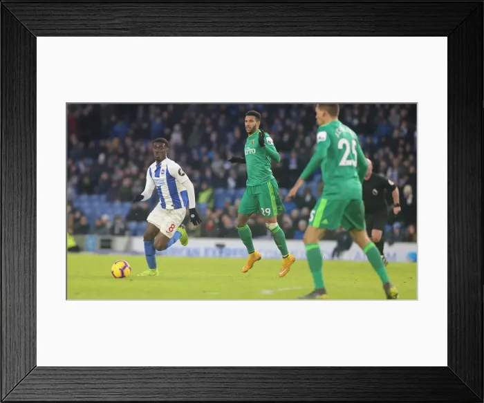 Framed Print : Brighton and Hove Albion vs. Watford: Premier League Showdown at American Express Community Stadium (02FEB19) Framed Print : Brighton and Hove Albion vs. Watford: Premier League Showdown at American Express Community Stadium (02FEB19)