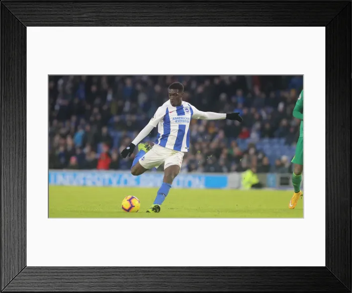 Framed Print : Brighton and Hove Albion vs. Watford: Premier League Showdown at American Express Community Stadium (02FEB19) Framed Print : Brighton and Hove Albion vs. Watford: Premier League Showdown at American Express Community Stadium (02FEB19)
