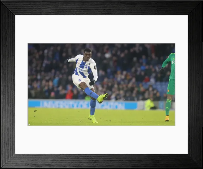 Framed Print : Brighton and Hove Albion vs. Watford: Premier League Showdown at American Express Community Stadium (02FEB19) Framed Print : Brighton and Hove Albion vs. Watford: Premier League Showdown at American Express Community Stadium (02FEB19)
