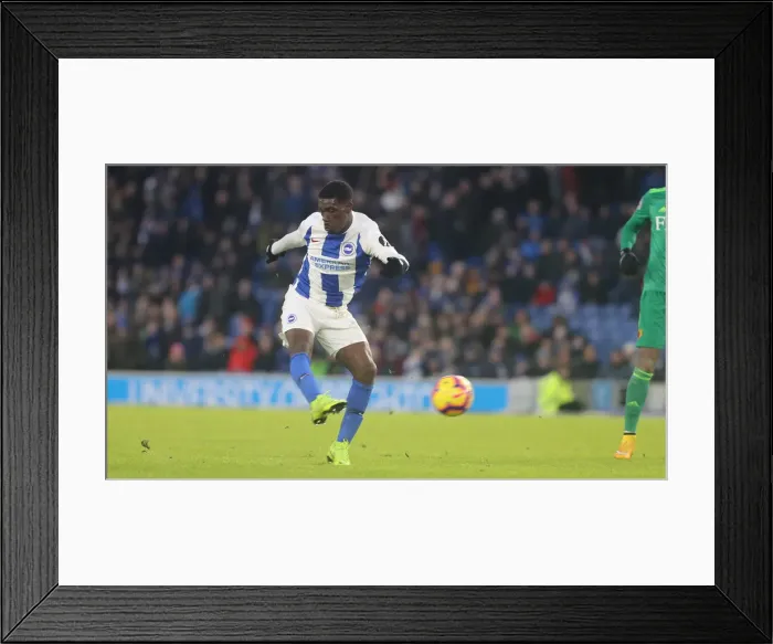 Framed Print : Brighton and Hove Albion vs. Watford: Premier League Showdown at American Express Community Stadium (02FEB19) Framed Print : Brighton and Hove Albion vs. Watford: Premier League Showdown at American Express Community Stadium (02FEB19)