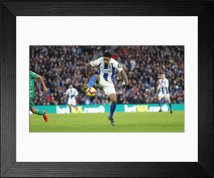 Framed Print : Brighton and Hove Albion vs. Watford: Premier League Showdown at American Express Community Stadium (02FEB19) Framed Print : Brighton and Hove Albion vs. Watford: Premier League Showdown at American Express Community Stadium (02FEB19)