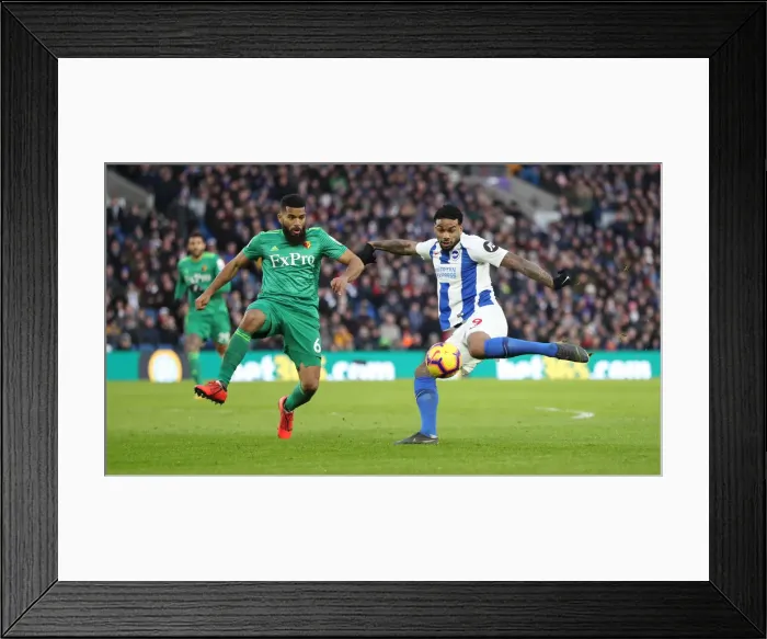 Framed Print : Brighton and Hove Albion vs. Watford: Premier League Showdown at American Express Community Stadium (02FEB19) Framed Print : Brighton and Hove Albion vs. Watford: Premier League Showdown at American Express Community Stadium (02FEB19)