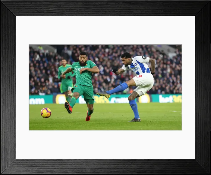 Framed Print : Brighton and Hove Albion vs. Watford: Premier League Showdown at American Express Community Stadium (02FEB19) Framed Print : Brighton and Hove Albion vs. Watford: Premier League Showdown at American Express Community Stadium (02FEB19)