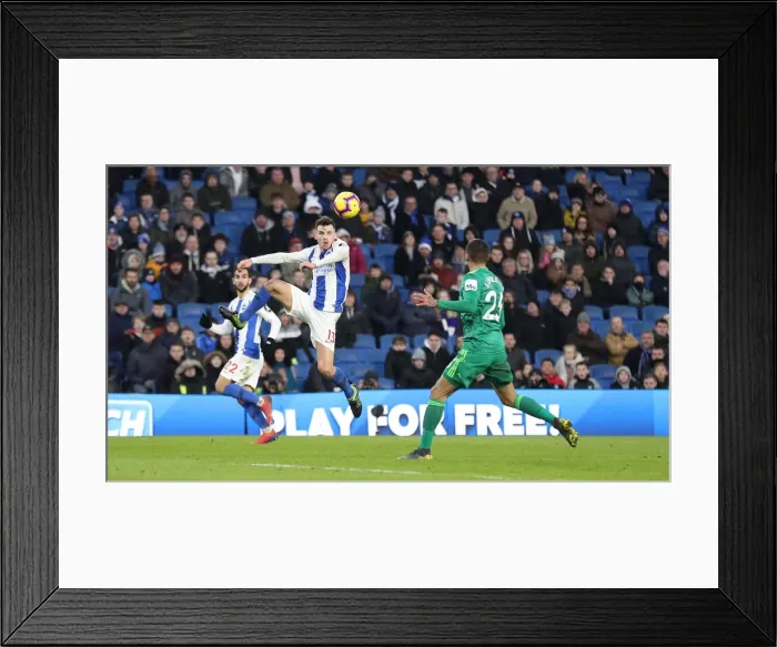 Framed Print : Brighton and Hove Albion vs. Watford: Premier League Showdown at American Express Community Stadium (02FEB19) Framed Print : Brighton and Hove Albion vs. Watford: Premier League Showdown at American Express Community Stadium (02FEB19)
