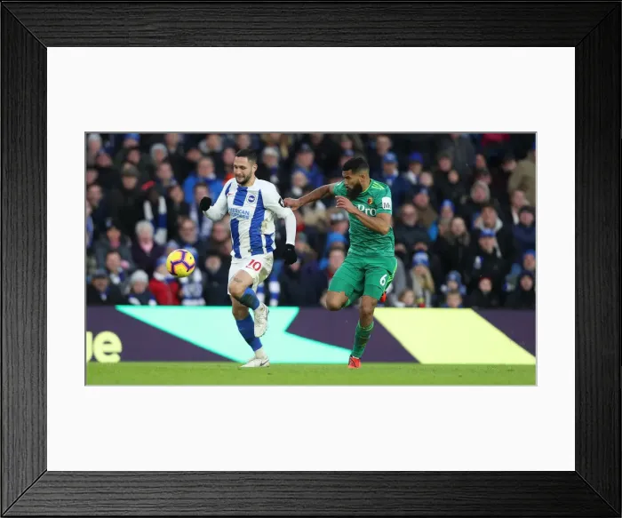 Framed Print : Brighton and Hove Albion vs. Watford: Premier League Showdown at American Express Community Stadium (02FEB19) Framed Print : Brighton and Hove Albion vs. Watford: Premier League Showdown at American Express Community Stadium (02FEB19)