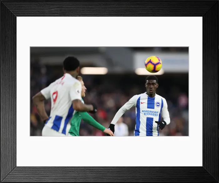 Framed Print : Brighton and Hove Albion vs. Watford: Premier League Showdown at American Express Community Stadium (02FEB19) Framed Print : Brighton and Hove Albion vs. Watford: Premier League Showdown at American Express Community Stadium (02FEB19)
