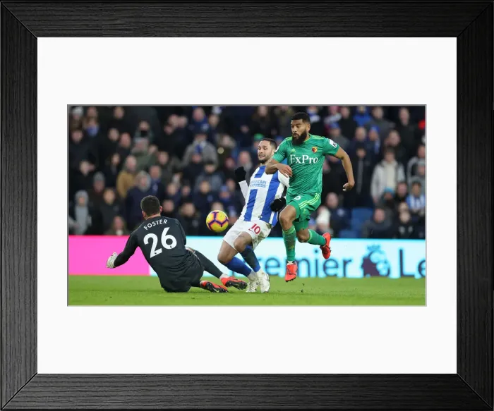 Framed Print : Brighton and Hove Albion vs. Watford: Premier League Showdown at American Express Community Stadium (02FEB19) Framed Print : Brighton and Hove Albion vs. Watford: Premier League Showdown at American Express Community Stadium (02FEB19)