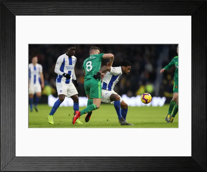 Framed Print : Brighton and Hove Albion vs. Watford: Premier League Showdown at American Express Community Stadium (02FEB19) Framed Print : Brighton and Hove Albion vs. Watford: Premier League Showdown at American Express Community Stadium (02FEB19)