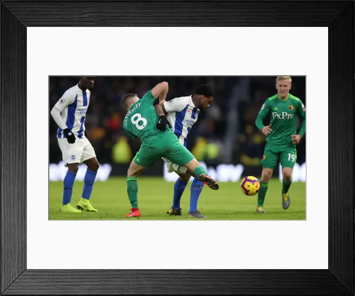 Framed Print : Brighton and Hove Albion vs. Watford: Premier League Showdown at American Express Community Stadium (02FEB19) Framed Print : Brighton and Hove Albion vs. Watford: Premier League Showdown at American Express Community Stadium (02FEB19)