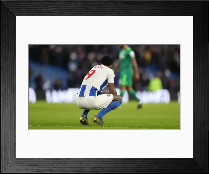 Framed Print : Brighton and Hove Albion vs. Watford: Premier League Showdown at American Express Community Stadium (02FEB19) Framed Print : Brighton and Hove Albion vs. Watford: Premier League Showdown at American Express Community Stadium (02FEB19)