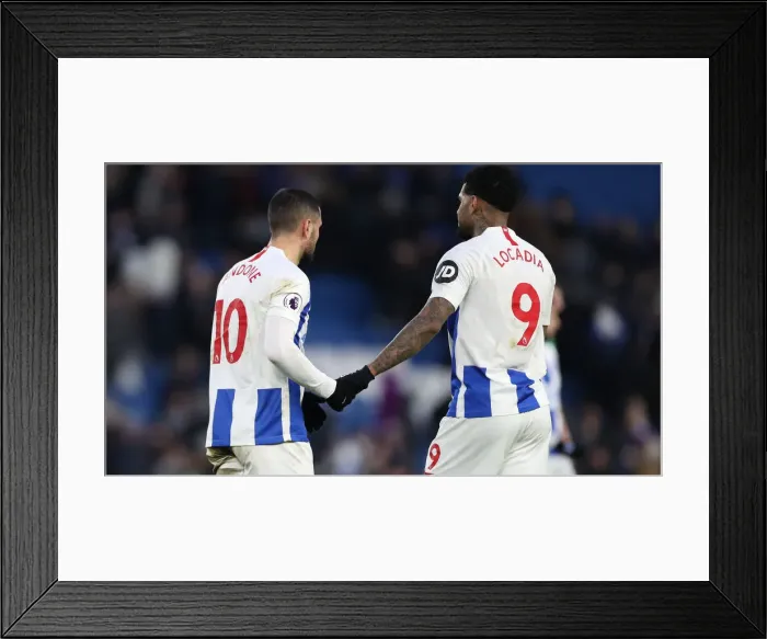 Framed Print : Brighton and Hove Albion vs. Watford: Premier League Showdown at American Express Community Stadium (02FEB19) Framed Print : Brighton and Hove Albion vs. Watford: Premier League Showdown at American Express Community Stadium (02FEB19)