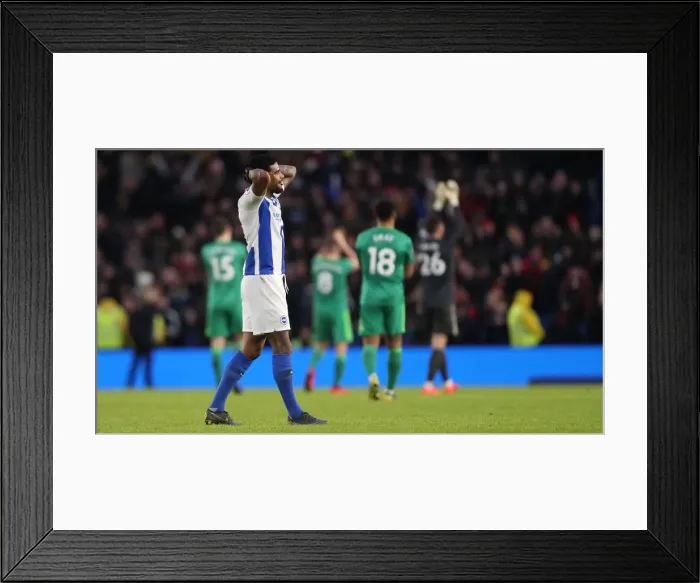 Framed Print : Brighton and Hove Albion vs. Watford: Premier League Showdown at American Express Community Stadium (02FEB19) Framed Print : Brighton and Hove Albion vs. Watford: Premier League Showdown at American Express Community Stadium (02FEB19)