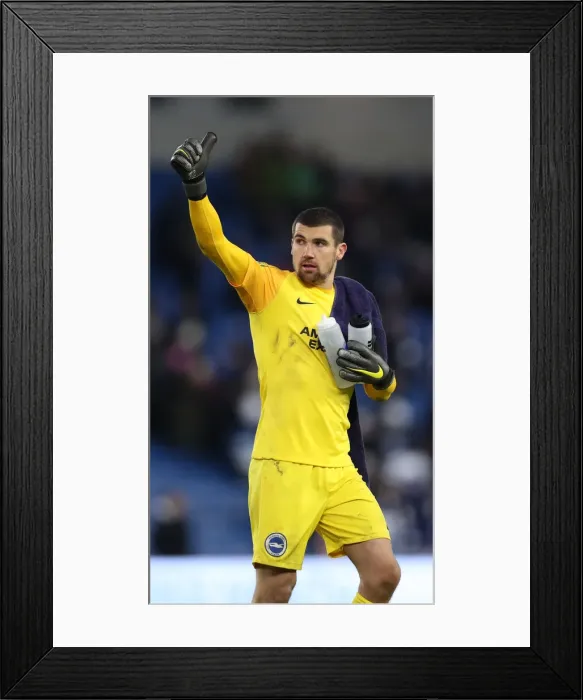 Framed Print : Brighton and Hove Albion vs. Watford: Premier League Showdown at American Express Community Stadium (02FEB19) Framed Print : Brighton and Hove Albion vs. Watford: Premier League Showdown at American Express Community Stadium (02FEB19)