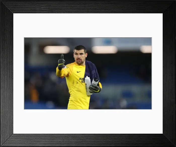 Framed Print : Intense Premier League Showdown: Brighton & Hove Albion vs. Watford (02FEB19) Framed Print : Intense Premier League Showdown: Brighton & Hove Albion vs. Watford (02FEB19)