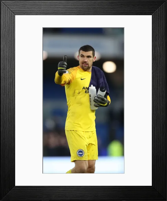 Framed Print : Brighton and Hove Albion vs. Watford: Premier League Showdown at American Express Community Stadium (02FEB19) Framed Print : Brighton and Hove Albion vs. Watford: Premier League Showdown at American Express Community Stadium (02FEB19)