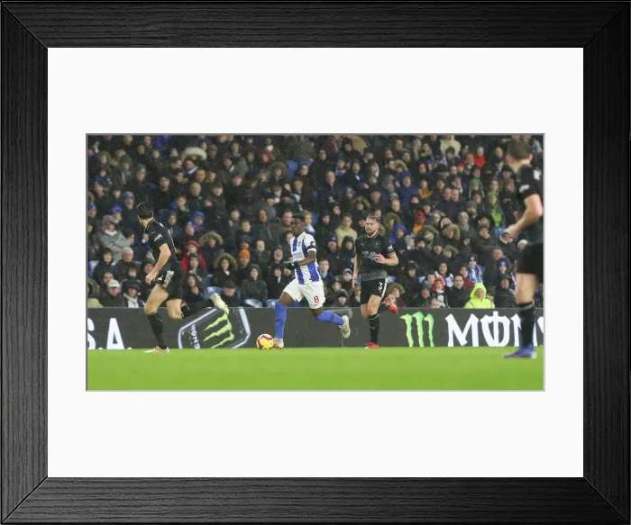 Framed Print : Brighton and Hove Albion vs. Burnley: Premier League Showdown at American Express Community Stadium (February 2019) Framed Print : Brighton and Hove Albion vs. Burnley: Premier League Showdown at American Express Community Stadium (February 2019)