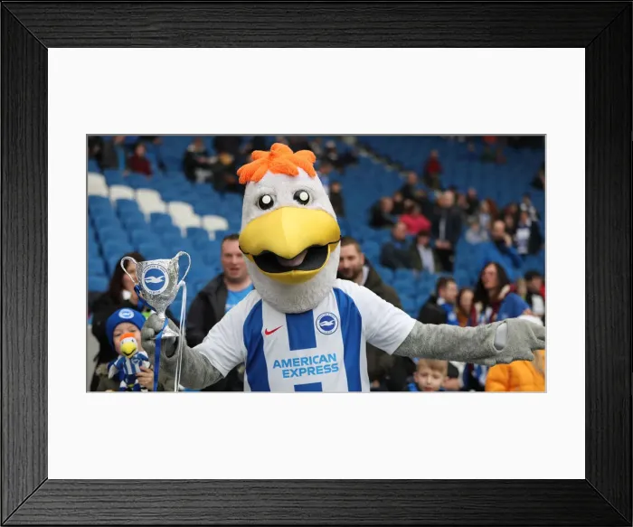 Framed Print : Brighton and Hove Albion vs. Derby County: Emirates FA Cup Battle at American Express Community Stadium (16FEB19) Framed Print : Brighton and Hove Albion vs. Derby County: Emirates FA Cup Battle at American Express Community Stadium (16FEB19)