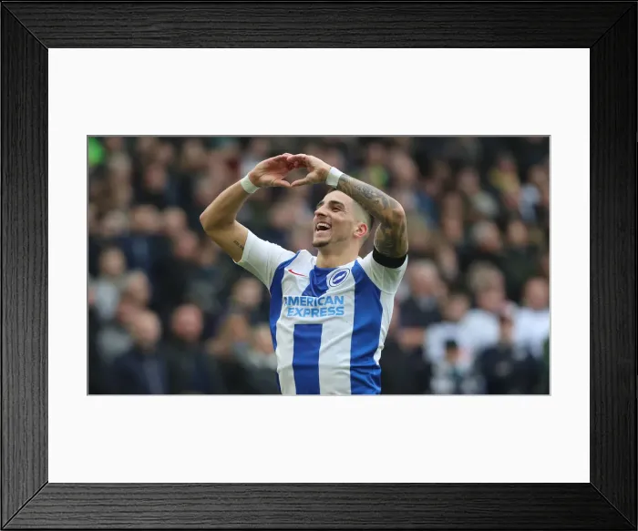 Framed Print : Brighton & Hove Albion vs. Derby County: FA Cup Battle at American Express Community Stadium (16FEB19) Framed Print : Brighton & Hove Albion vs. Derby County: FA Cup Battle at American Express Community Stadium (16FEB19)