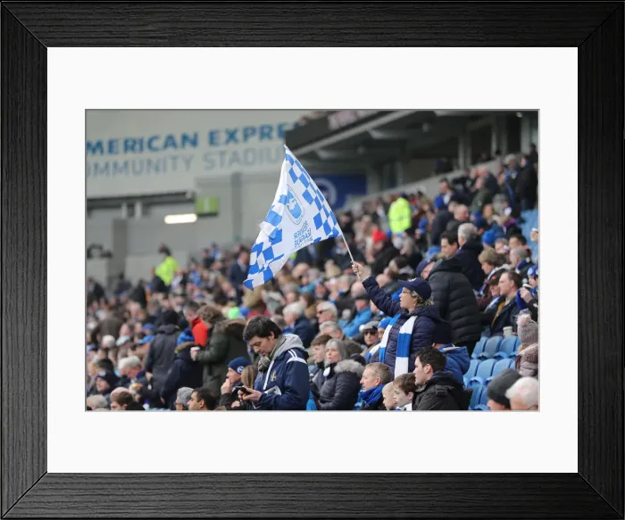 Framed Print : Brighton and Hove Albion vs. Derby County: Emirates FA Cup Battle at American Express Community Stadium (16FEB19) Framed Print : Brighton and Hove Albion vs. Derby County: Emirates FA Cup Battle at American Express Community Stadium (16FEB19)