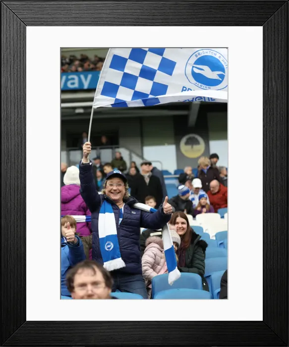 Framed Print : Brighton and Hove Albion vs. Derby County: Emirates FA Cup Showdown at American Express Community Stadium (16th February 2019) Framed Print : Brighton and Hove Albion vs. Derby County: Emirates FA Cup Showdown at American Express Community Stadium (16th February 2019)
