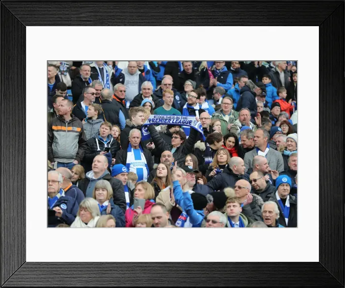 Framed Print : Brighton and Hove Albion vs. Derby County: Emirates FA Cup Showdown at American Express Community Stadium (16th February 2019) Framed Print : Brighton and Hove Albion vs. Derby County: Emirates FA Cup Showdown at American Express Community Stadium (16th February 2019)
