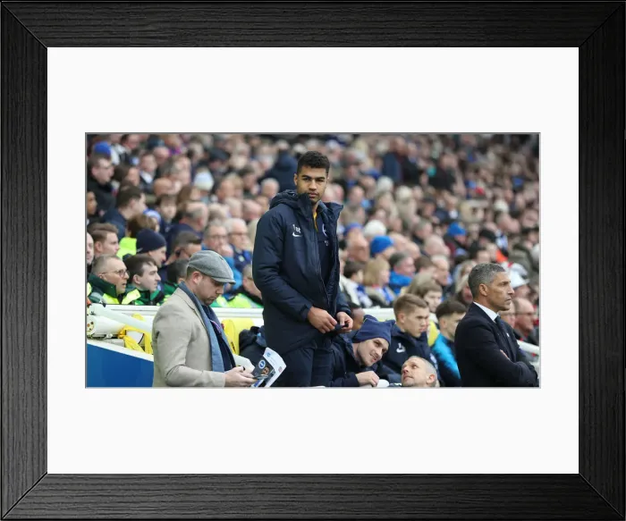 Framed Print : Brighton and Hove Albion vs. Derby County: Emirates FA Cup Showdown at American Express Community Stadium (February 16, 2019) Framed Print : Brighton and Hove Albion vs. Derby County: Emirates FA Cup Showdown at American Express Community Stadium (February 16, 2019)