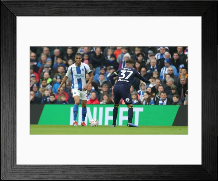 Framed Print : Brighton and Hove Albion vs. Derby County: Emirates FA Cup Battle at American Express Community Stadium (16FEB19) Framed Print : Brighton and Hove Albion vs. Derby County: Emirates FA Cup Battle at American Express Community Stadium (16FEB19)