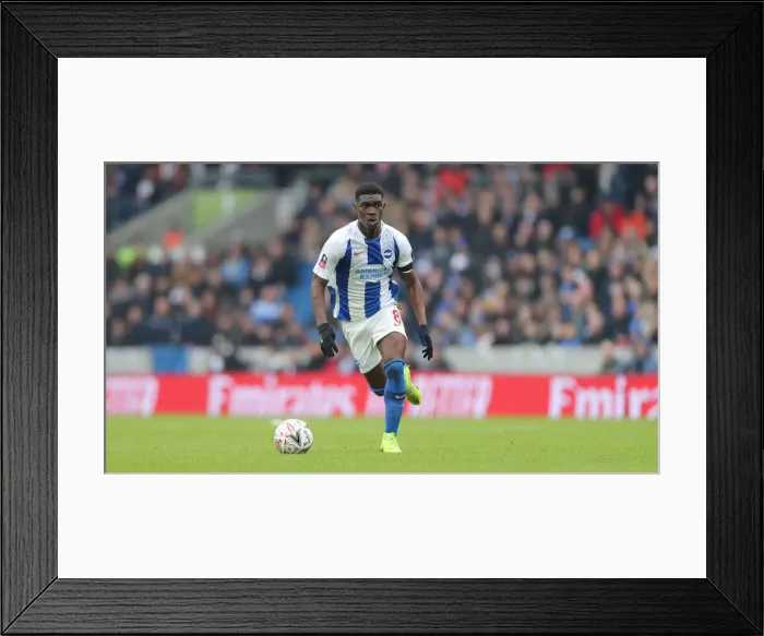 Framed Print : Brighton & Hove Albion vs. Derby County: Emirates FA Cup Showdown at American Express Community Stadium (16FEB19) Framed Print : Brighton & Hove Albion vs. Derby County: Emirates FA Cup Showdown at American Express Community Stadium (16FEB19)