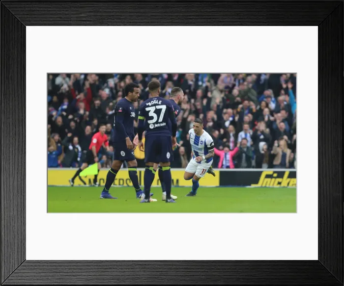 Framed Print : Brighton & Hove Albion vs. Derby County: Emirates FA Cup Battle at American Express Community Stadium (February 16, 2019) Framed Print : Brighton & Hove Albion vs. Derby County: Emirates FA Cup Battle at American Express Community Stadium (February 16, 2019)
