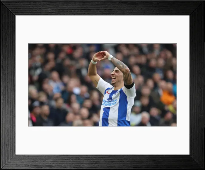 Framed Print : Brighton & Hove Albion vs. Derby County: FA Cup Battle at American Express Community Stadium (16FEB19) Framed Print : Brighton & Hove Albion vs. Derby County: FA Cup Battle at American Express Community Stadium (16FEB19)
