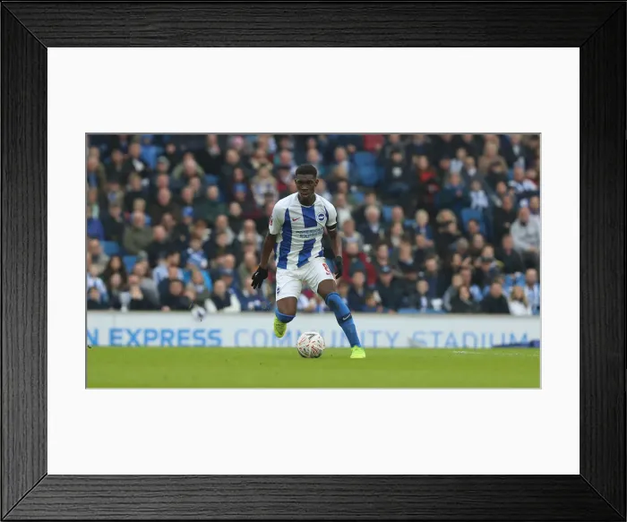 Framed Print : Brighton and Hove Albion vs. Derby County: FA Cup Fifth Round Clash at American Express Community Stadium (16FEB19) Framed Print : Brighton and Hove Albion vs. Derby County: FA Cup Fifth Round Clash at American Express Community Stadium (16FEB19)
