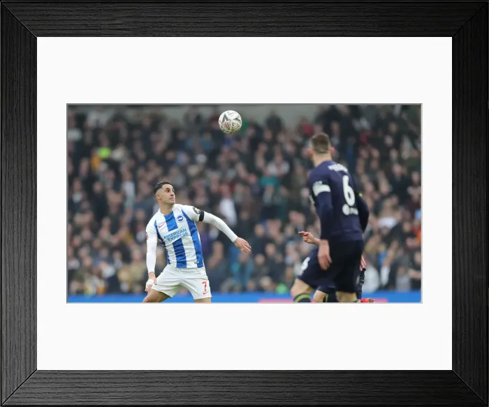 Framed Print : Brighton & Hove Albion vs. Derby County: FA Cup Fifth Round Clash at the American Express Community Stadium (16FEB19)