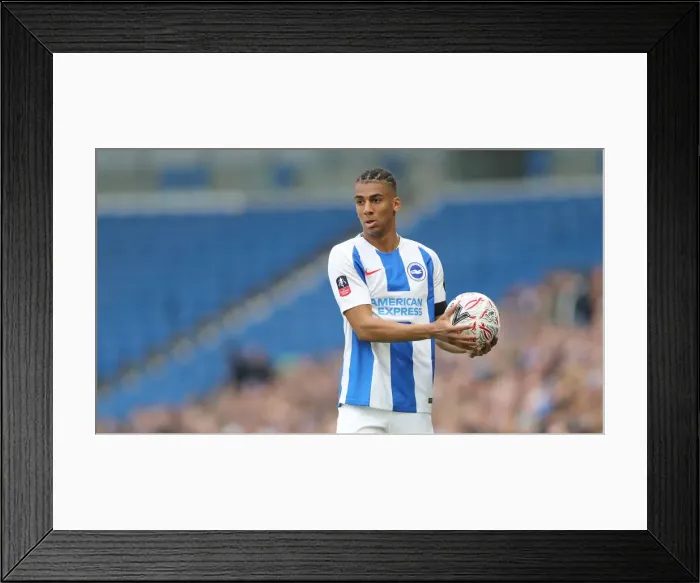 Framed Print : Brighton and Hove Albion vs. Derby County: Emirates FA Cup Showdown at American Express Community Stadium (16th February 2019) Framed Print : Brighton and Hove Albion vs. Derby County: Emirates FA Cup Showdown at American Express Community Stadium (16th February 2019)