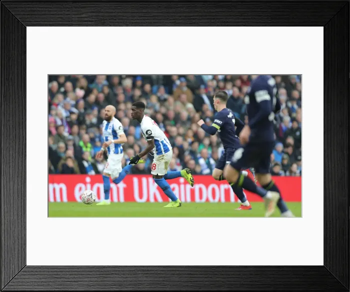 Framed Print : Brighton & Hove Albion vs. Derby County: Emirates FA Cup Battle at American Express Community Stadium (16th February 2019) Framed Print : Brighton & Hove Albion vs. Derby County: Emirates FA Cup Battle at American Express Community Stadium (16th February 2019)