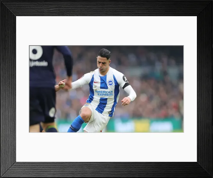 Framed Print : Brighton & Hove Albion vs. Derby County: FA Cup Showdown at American Express Community Stadium (16FEB19) Framed Print : Brighton & Hove Albion vs. Derby County: FA Cup Showdown at American Express Community Stadium (16FEB19)