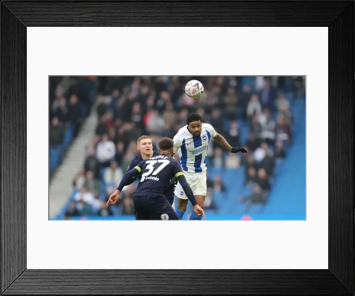 Framed Print : Brighton and Hove Albion vs. Derby County: Emirates FA Cup Showdown at American Express Community Stadium (February 16, 2019) Framed Print : Brighton and Hove Albion vs. Derby County: Emirates FA Cup Showdown at American Express Community Stadium (February 16, 2019)