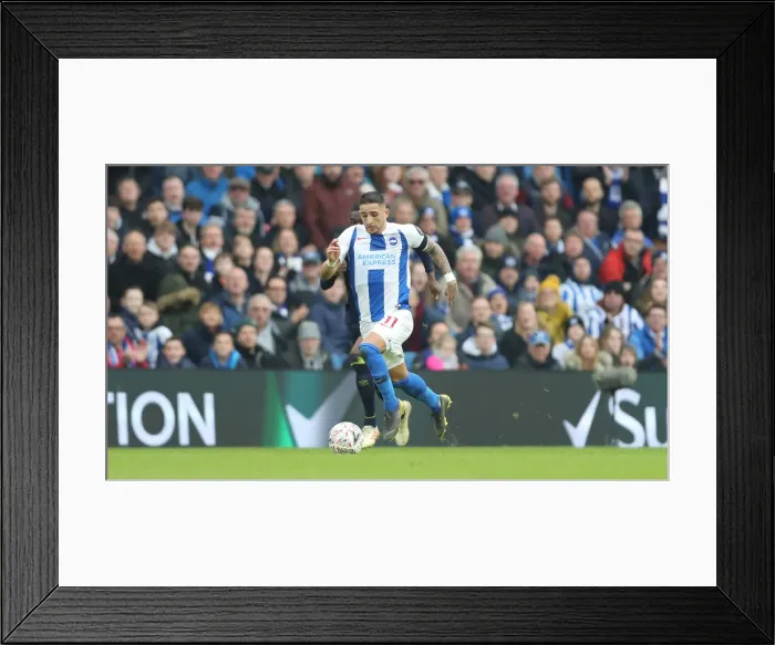 Framed Print : Brighton & Hove Albion vs. Derby County: Emirates FA Cup Showdown at American Express Community Stadium (16th February 2019) Framed Print : Brighton & Hove Albion vs. Derby County: Emirates FA Cup Showdown at American Express Community Stadium (16th February 2019)
