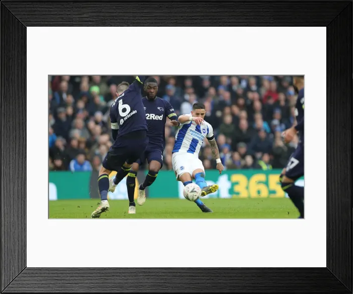 Framed Print : Brighton and Hove Albion vs. Derby County: Emirates FA Cup Showdown at the American Express Community Stadium (16FEB19) Framed Print : Brighton and Hove Albion vs. Derby County: Emirates FA Cup Showdown at the American Express Community Stadium (16FEB19)