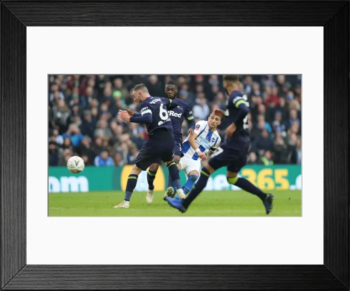 Framed Print : Brighton and Hove Albion vs. Derby County: Emirates FA Cup Battle at American Express Community Stadium (February 16, 2019) Framed Print : Brighton and Hove Albion vs. Derby County: Emirates FA Cup Battle at American Express Community Stadium (February 16, 2019)