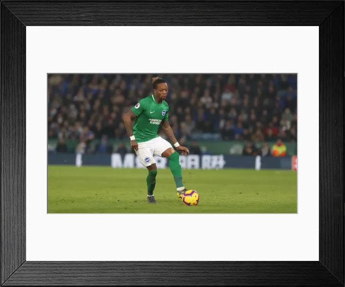 Framed Print : Premier League Showdown: Leicester City vs. Brighton and Hove Albion (26FEB19)