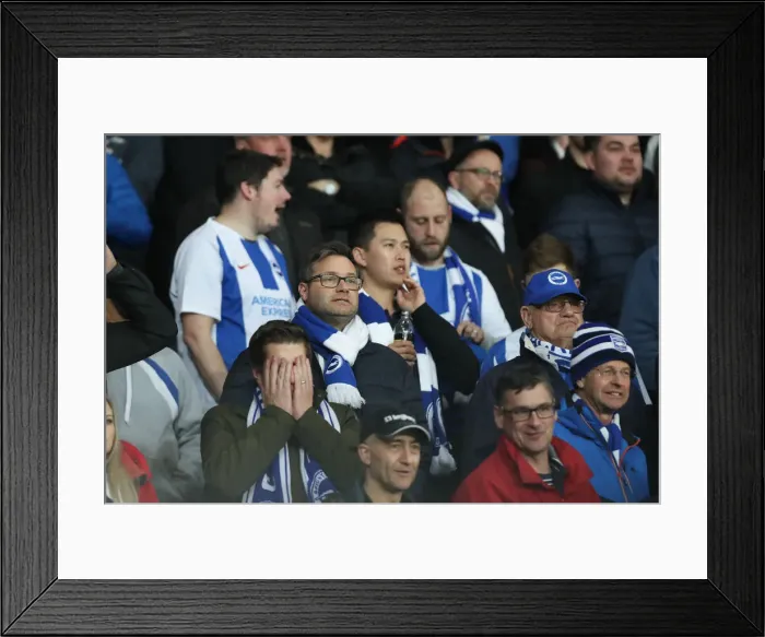 Framed Print : Premier League Showdown: Leicester City vs. Brighton and Hove Albion at The King Power Stadium - 26th February 2019 Framed Print : Premier League Showdown: Leicester City vs. Brighton and Hove Albion at The King Power Stadium - 26th February 2019